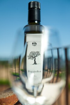 poggiolivi agriturismo bio in maremma