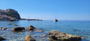 scilla