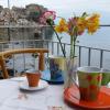 scilla