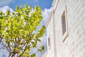 masseriola antiche fogge