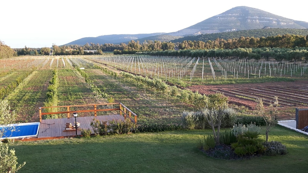 agriturismo casale degli ulivi