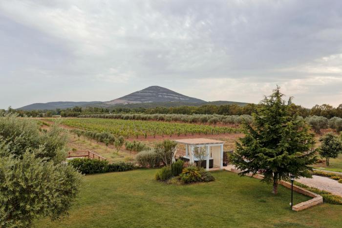 agriturismo casale degli ulivi