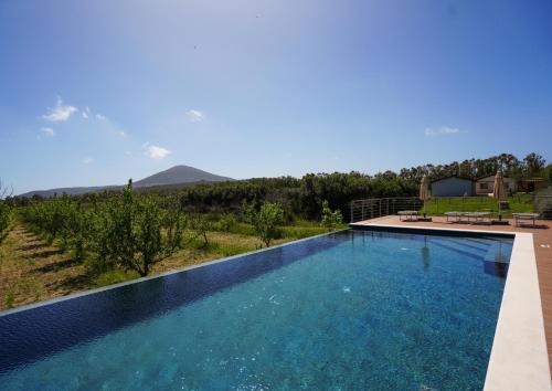 agriturismo casale degli ulivi