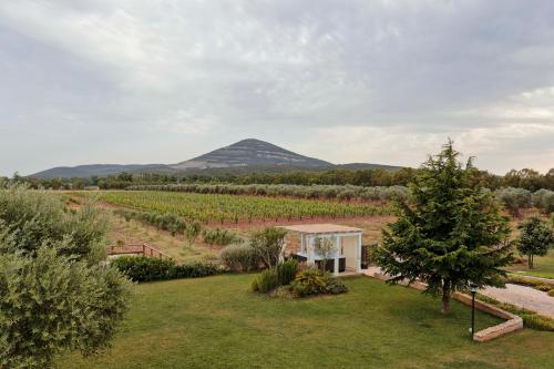 agriturismo casale degli ulivi