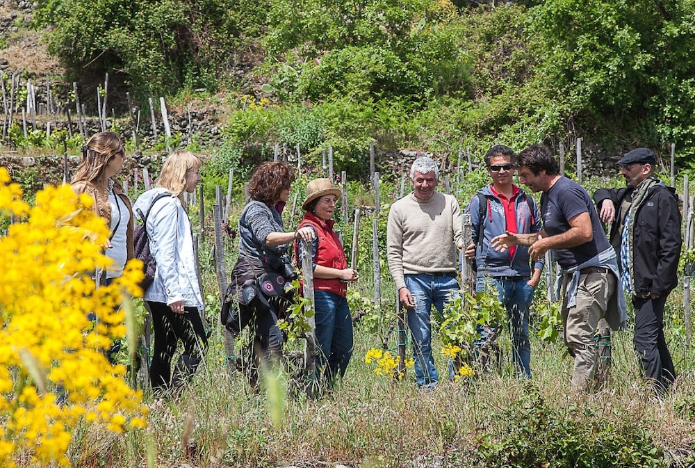 etnella enoagriturismo notti stellate