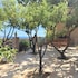 agrigento