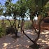 agrigento