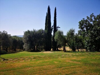 castiglione del lago