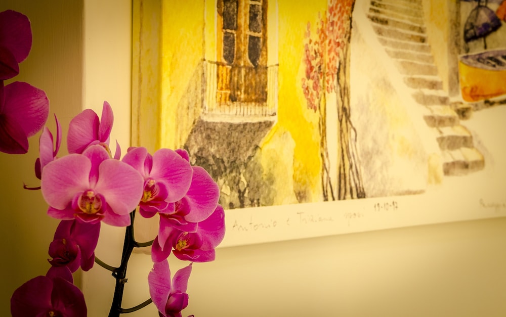 maison liparlati positano