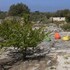morciano di leuca