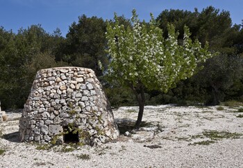 morciano di leuca