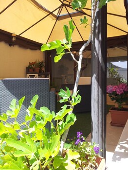 bandb torrente antico