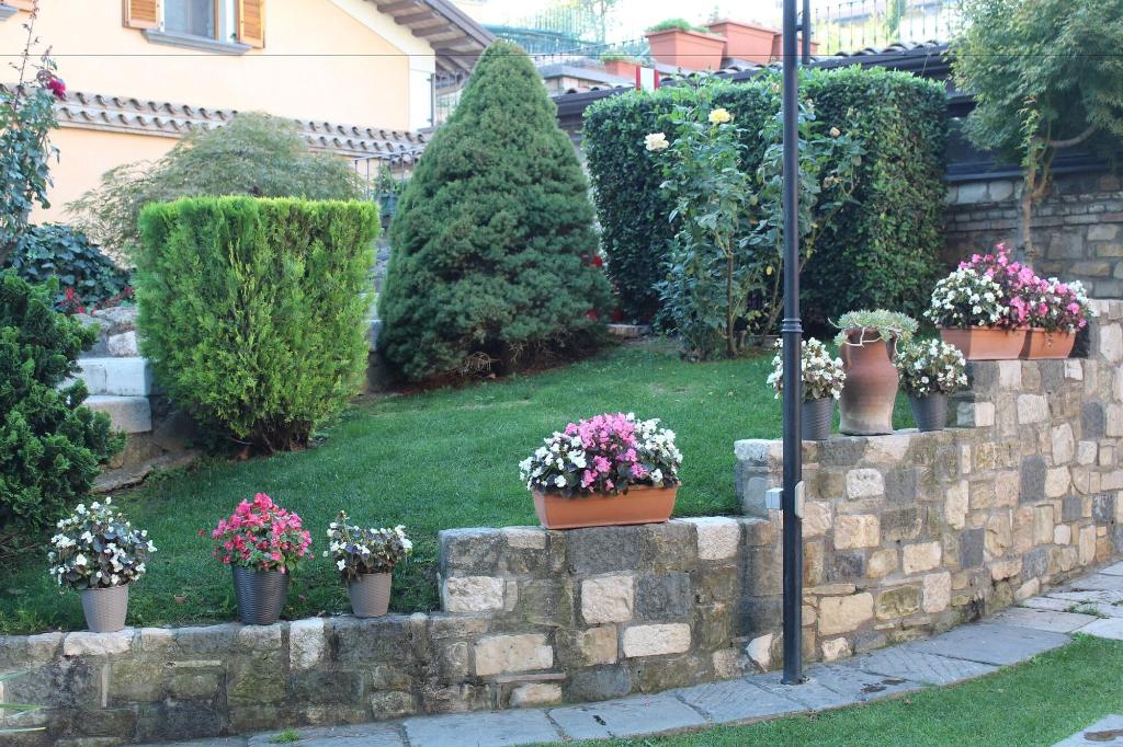 hotel novecento