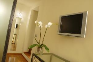 terres daventure suites