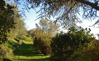 podere badia