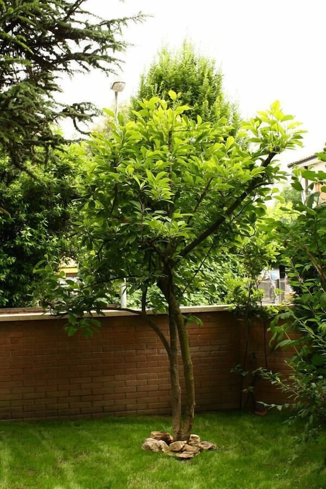 bandb igea 50