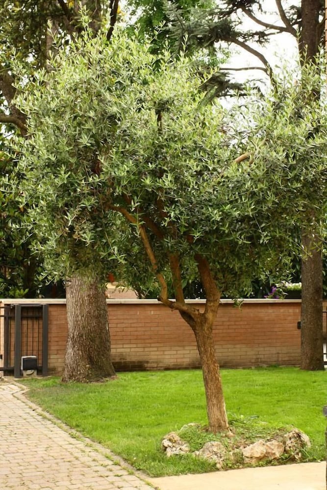 bandb igea 50