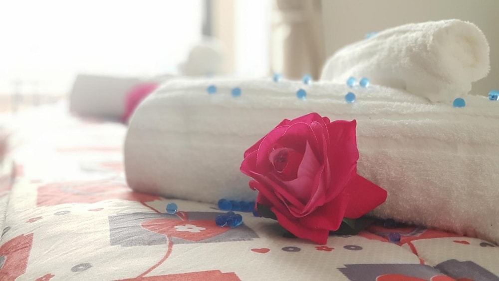 donnanna bed and breakfast