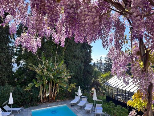 White Lilac Romantic B&B Adults Only,Near Sancarlone Statue,4 star
