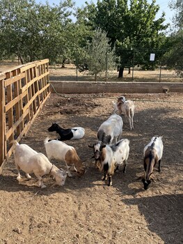 casale torre san magno