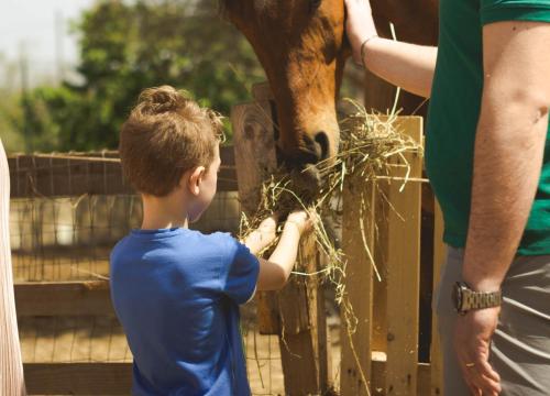 casale torre san magno