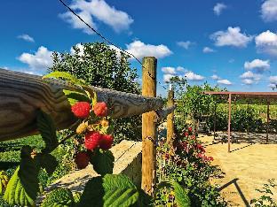 tenuta vigna corallo