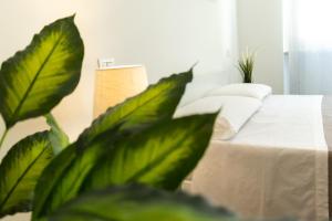 suebi rooms and apartments