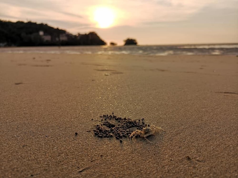 lesprit de naiyang beach resort