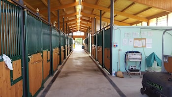 Allevamento B&B,In Pozzolgroppo,3 star