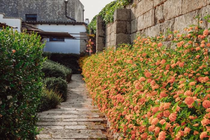 biomasseria santa lucia