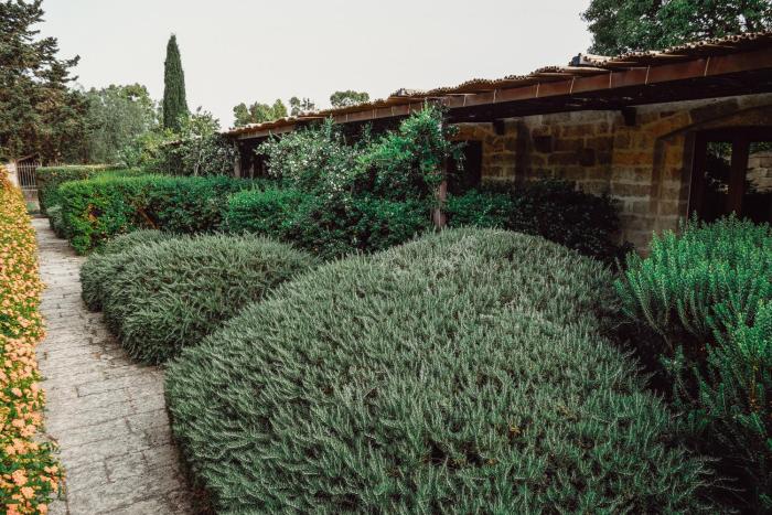 biomasseria santa lucia