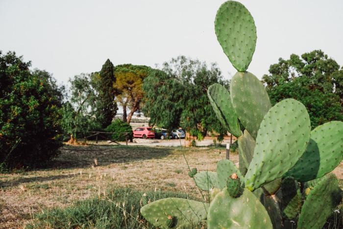 biomasseria santa lucia