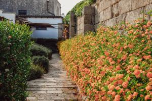 biomasseria santa lucia