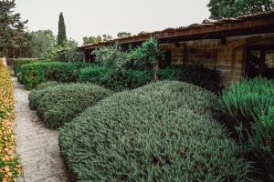 biomasseria santa lucia