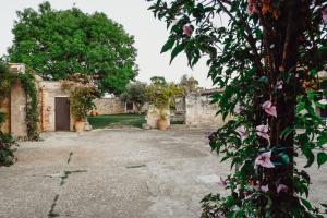 biomasseria santa lucia