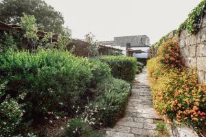 biomasseria santa lucia