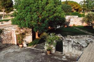 biomasseria santa lucia