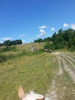 agriturismo yes boss