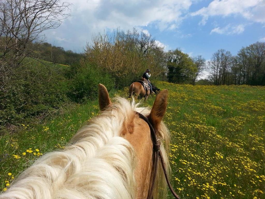 Agriturismo Yes Boss,In Morcone,3 star