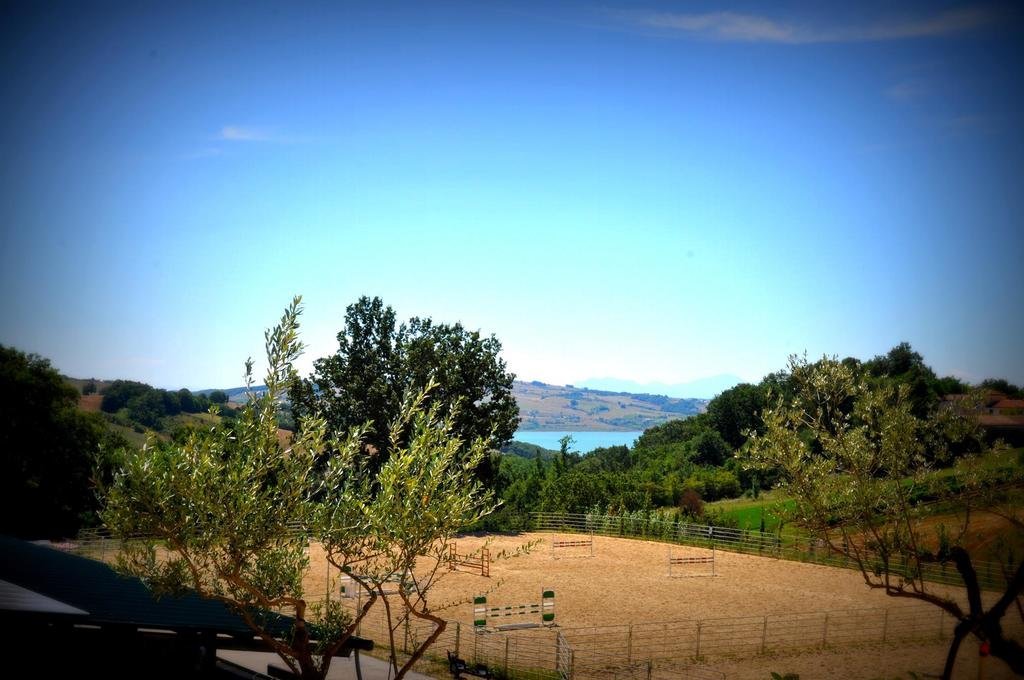 Agriturismo Yes Boss,In Morcone,3 star