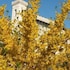 locanda san rocco
