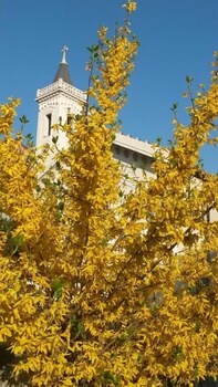 locanda san rocco