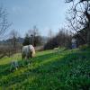 B&B Naturin - Cascina Colombaro,In A Rural Location,4 star