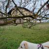 B&B Naturin - Cascina Colombaro,In A Rural Location,4 star