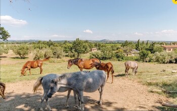 agriturismo il cavone