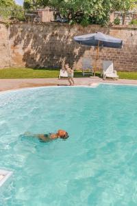 agriturismo il cavone