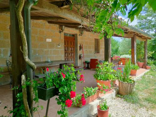 agriturismo il cavone