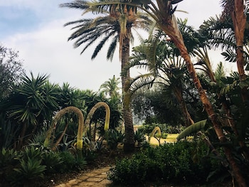 castellammare del golfo