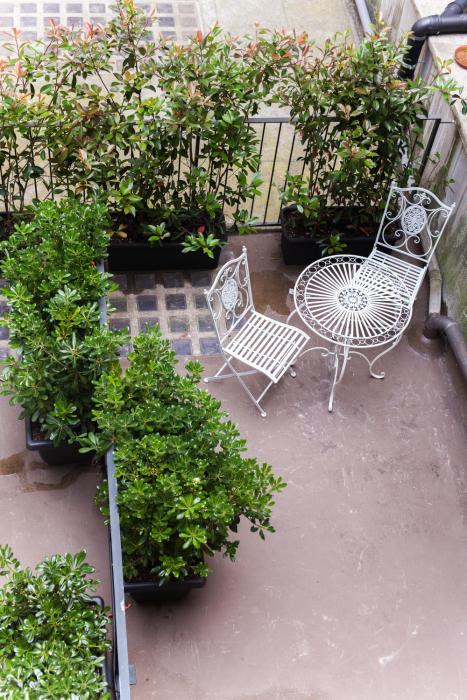 alessias place