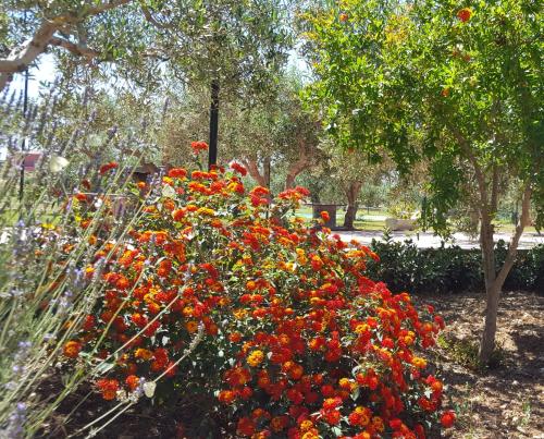 Le Case Di Anna E Carla,Rilievo>>Guarrato,3 star